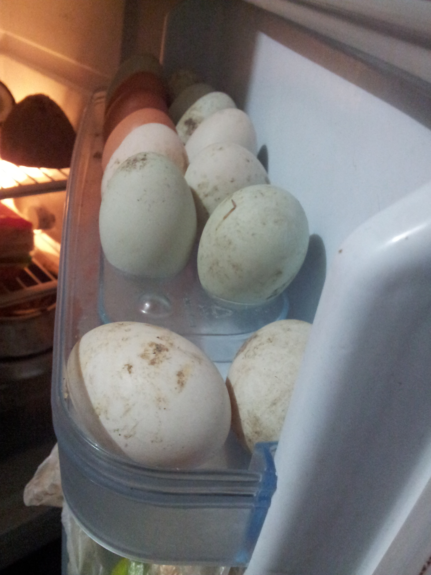 Eggs in a molded bin on the inside of a refrigerator door